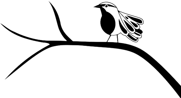 Imagen de loica sobre rama